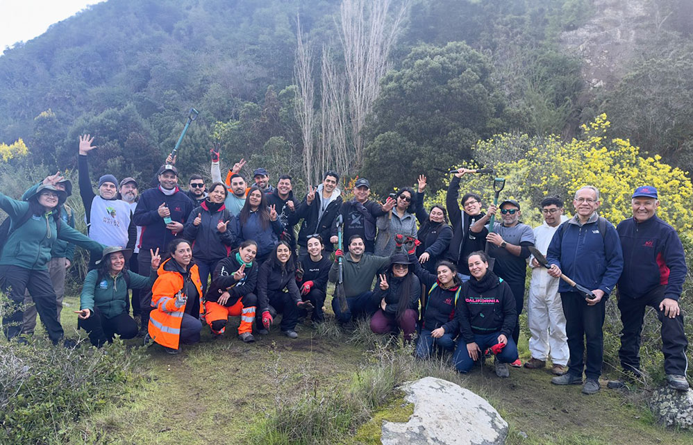 saam-terminals-plants-400-trees-to-support-reforestation-of-quebrada-de-cordova